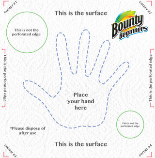 Illustration for article titled Bounty Launches Beginner Series For People New To Paper Towels
